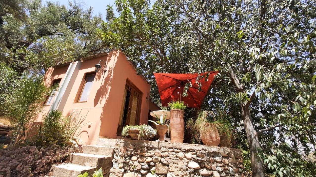 Maroc Lodge Atlas Mountain Retreat Amizmiz Exterior foto